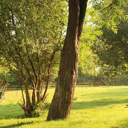 Gutshof Dubnitz -ferienwohnung 9  Elsa