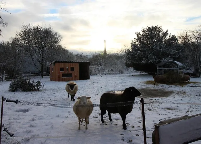 Gutshof Dubnitz -ferienwohnung 9 